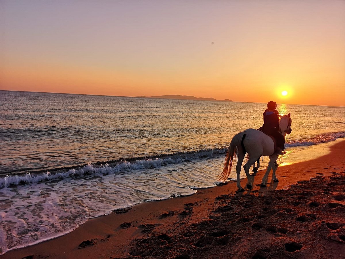 Horseback Riding